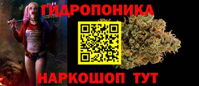 Альфа ПВП Заволжье